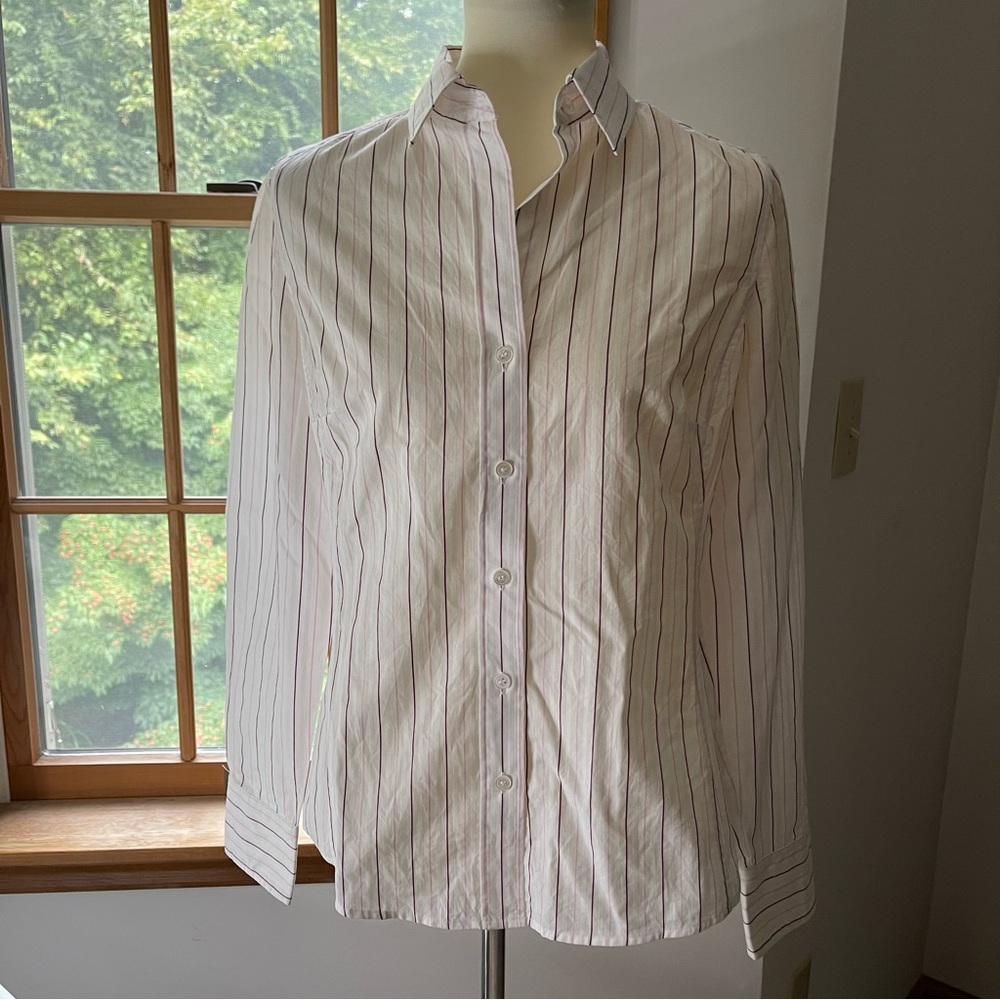 Ann Taylor Fitted Button Shirt